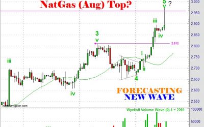 Textbook Elliott Wave Rally In Natural Gas June28 2016 by Ron Feinstein New Wave Forecasting